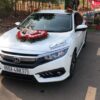 Cho thuê xe hoa Civic